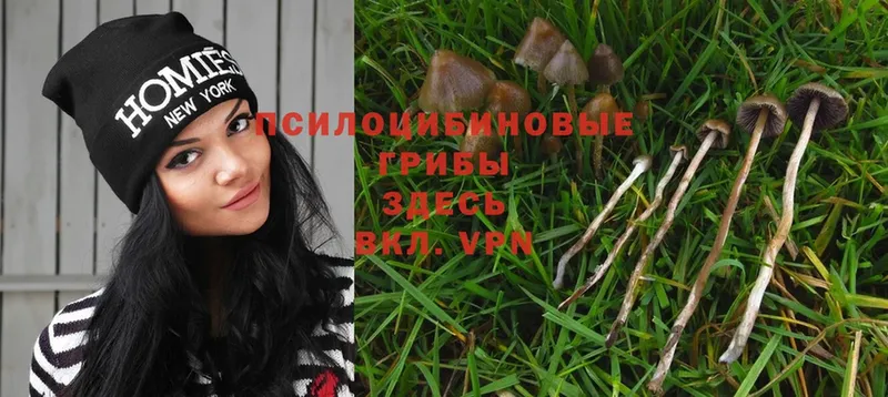 Галлюциногенные грибы Magic Shrooms  ОМГ ОМГ ONION  Кубинка 